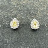 Yellow Diamond Halo Earrings