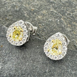 Yellow Diamond Halo Earrings