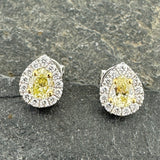 Yellow Diamond Halo Earrings